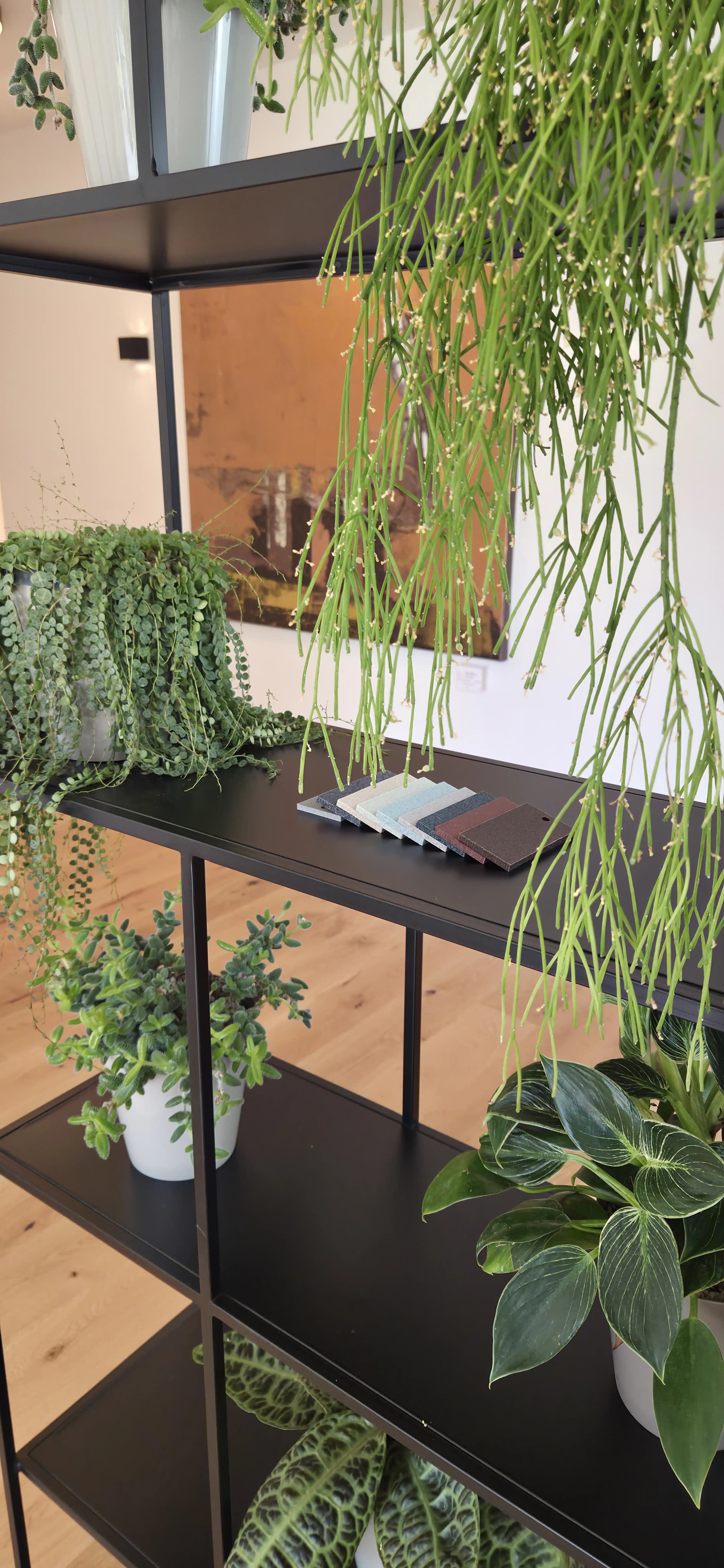 Farbmuster Pflanzgefäße